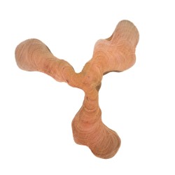 Cookie Bois Cathédrale