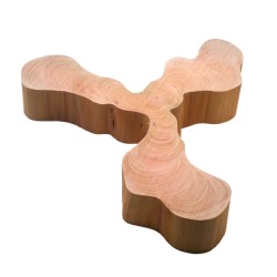 Cookie Bois Cathédrale