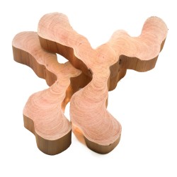 Cookie Bois Cathédrale