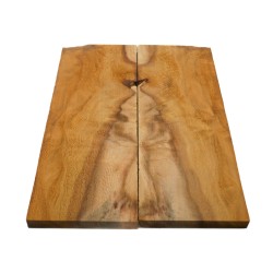 Plaquettes Manguier figuré