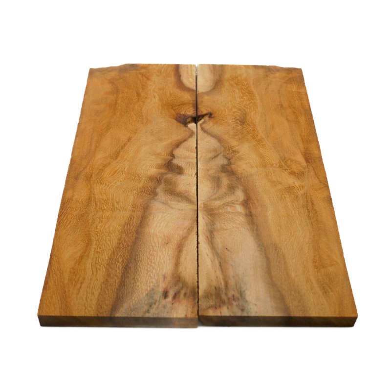 Plaquettes Manguier figuré