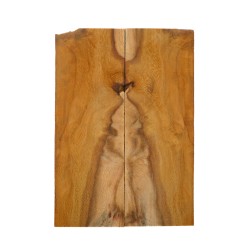 Plaquettes Manguier figuré