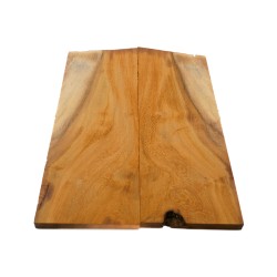 Plaquettes Manguier figuré