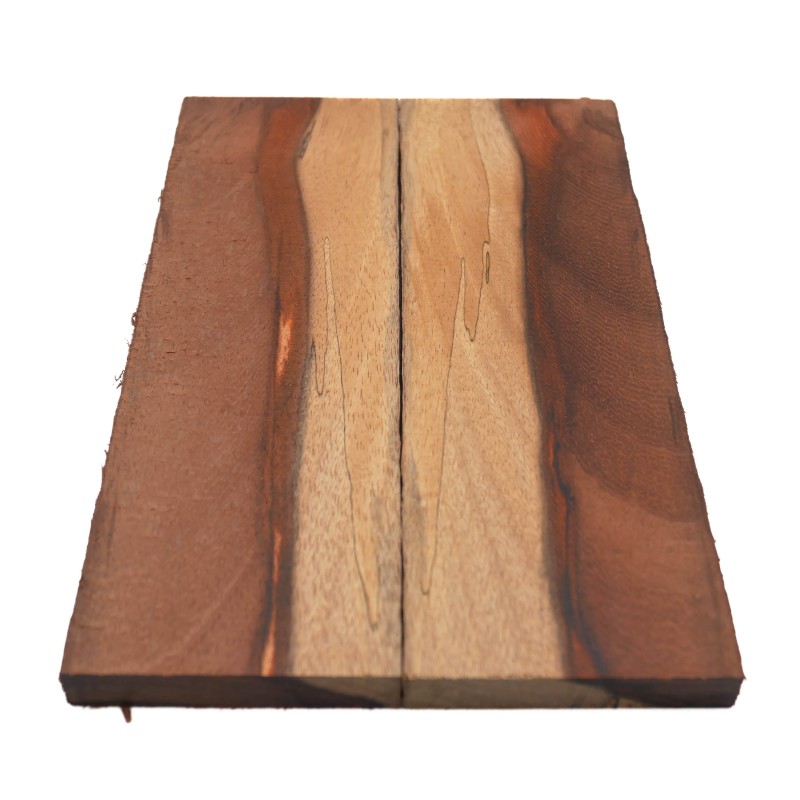 Plaquettes Moutouchi