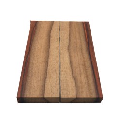 Plaquettes Moutouchi