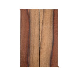 Plaquettes Moutouchi