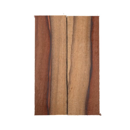 Plaquettes Moutouchi