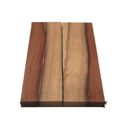 Plaquettes Moutouchi