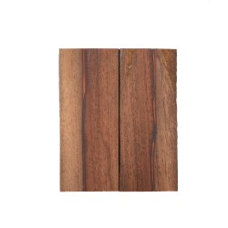 Plaquettes Moutouchi