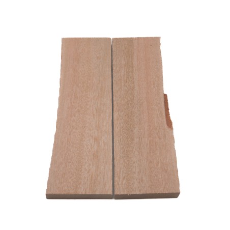 Plaquettes avocatier