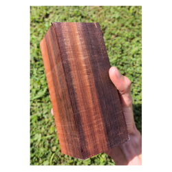 Amourette enchère Frédéric