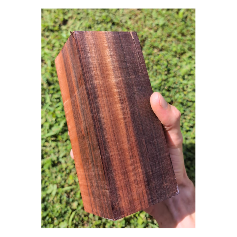 Amourette enchère Frédéric