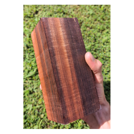 Amourette enchère Frédéric