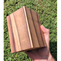 Moutouchi enchère M Marie