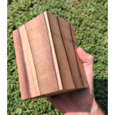 Moutouchi enchère M Marie