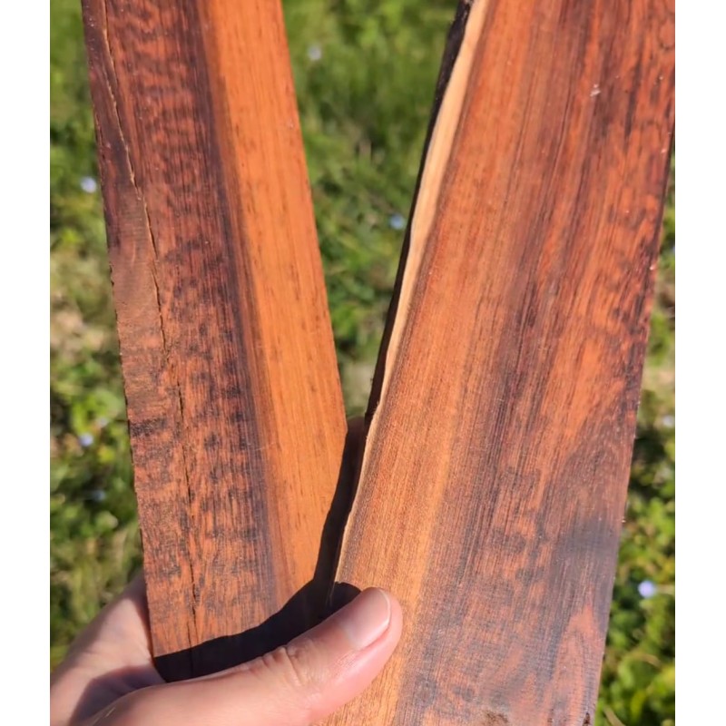 ENCHERE AMOURETTE FEYFANT