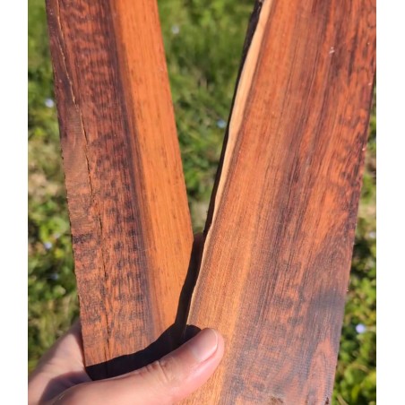 ENCHERE AMOURETTE FEYFANT