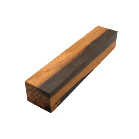 Bloc Ébène du Brésil