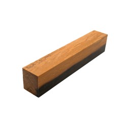 Bloc Ébène du Brésil