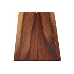 Plaquettes Moutouchi