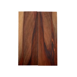 Plaquettes Moutouchi