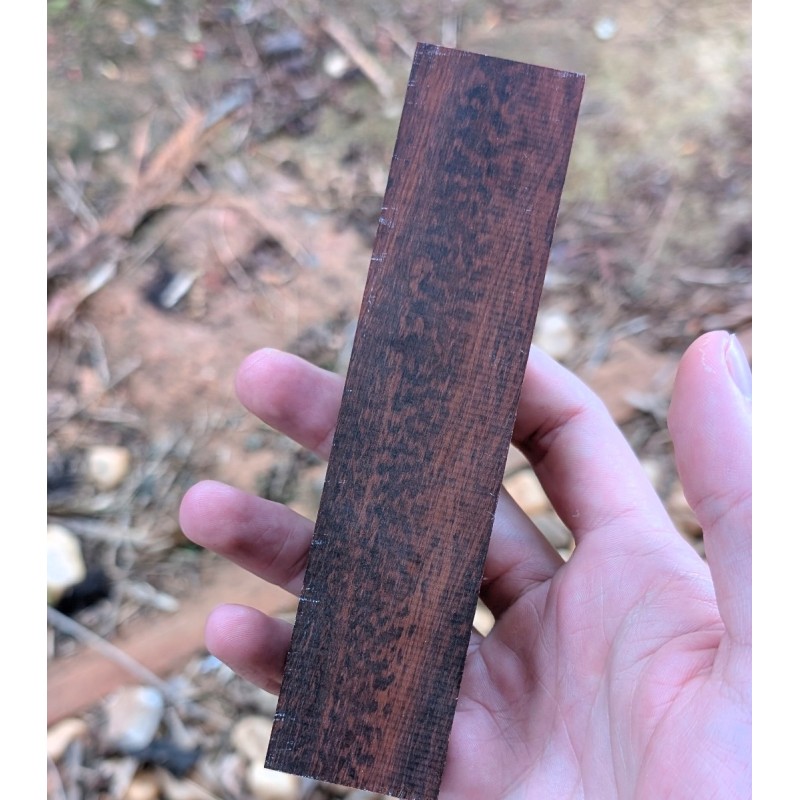 Amourette mouchetée