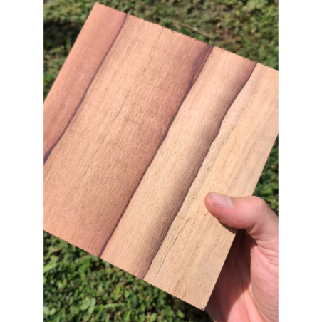 Bloc bois moutouchi enchères