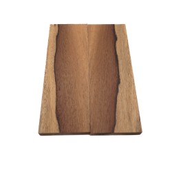 Plaquettes Moutouchi