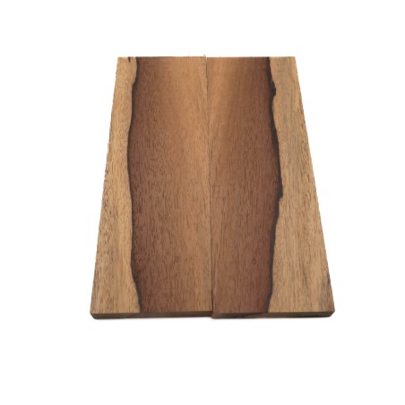 Plaquettes Moutouchi