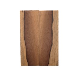 Plaquettes Moutouchi