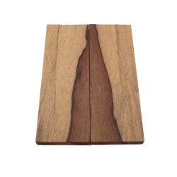 Plaquettes Moutouchi