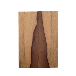 Plaquettes Moutouchi