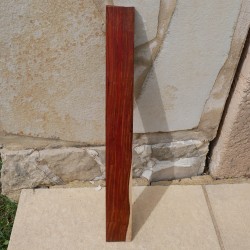 Touche Cocobolo