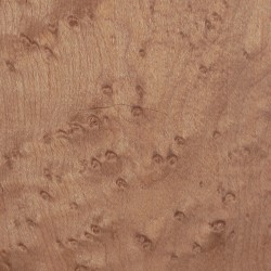 Manche érable moucheté torréfié