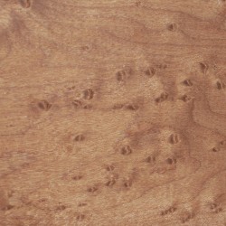 Manche érable moucheté torréfié