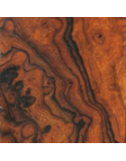 Bois de Fer Arizona Desert Ironwood｜Bois Canon