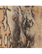 Tamarin échauffé, bois de Tamarin spalted ｜ Bois Canon
